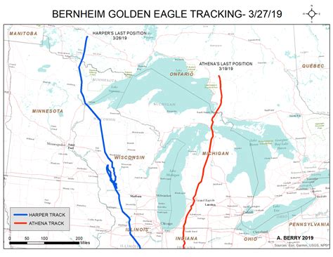 Bald Eagle Migration Map