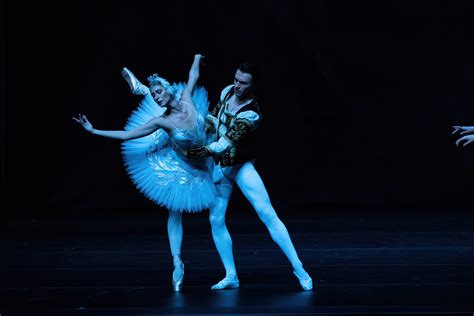 The United Ukrainian Ballet Presents Swan Lake A Modern Gay S Guide