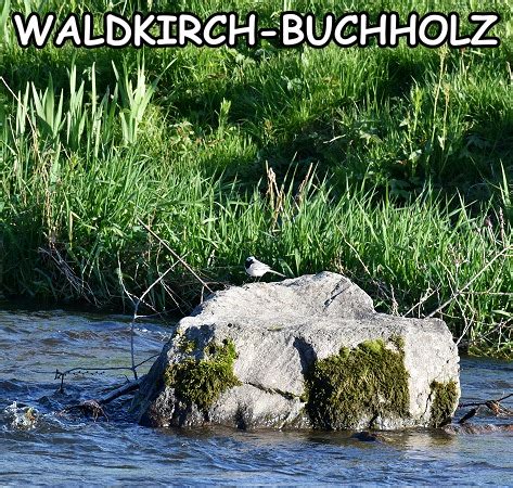 Ingrids Welt Deutschland Baden W Rtemberg Breisgau Waldkirch