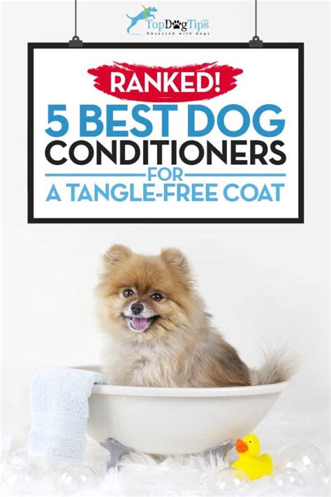 The Best Dog Conditioner Brands for Shiny and Tangle-Free Coat