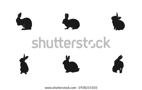 892 Cartoon Cottontail Rabbit Images, Stock Photos & Vectors | Shutterstock