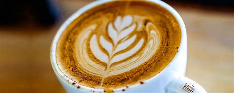 Coffee Expert