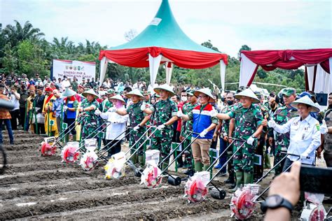 Dukung Ketahanan Pangan Nasional PHR TNI AD Sinergi Olah 100 Hektar