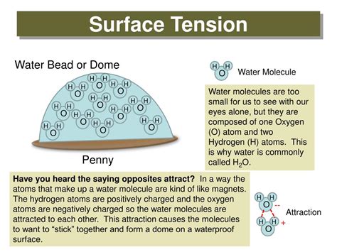 What Bond Causes Water To Have A High Surface Tension At Paul Tatom Blog