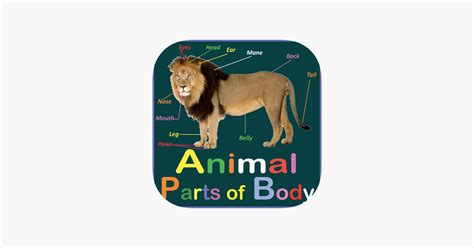 ‎Animal Parts of Body Names on the App Store