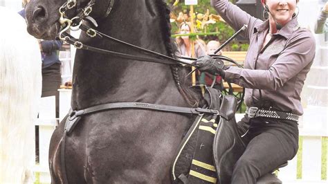 Aktions Zirkel Mit Pferd Und Hund Beim Burgturnier