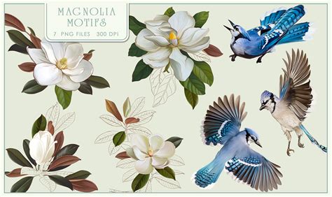 Floral collection “Magnolia patterns” on Behance