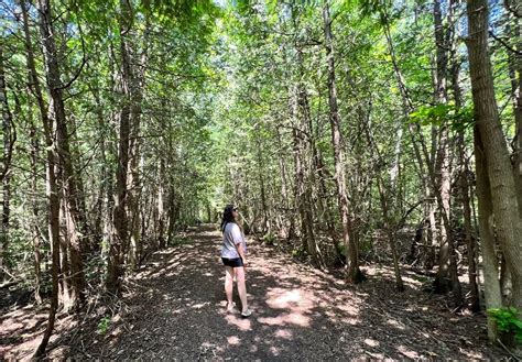 Visiting Sibbald Point Provincial Park How To Experience The Best Of