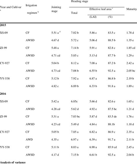 Leaf Area Index LAI Of Rice Under Different Irrigation Regimens