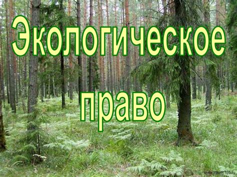 Экологическое право - презентация онлайн
