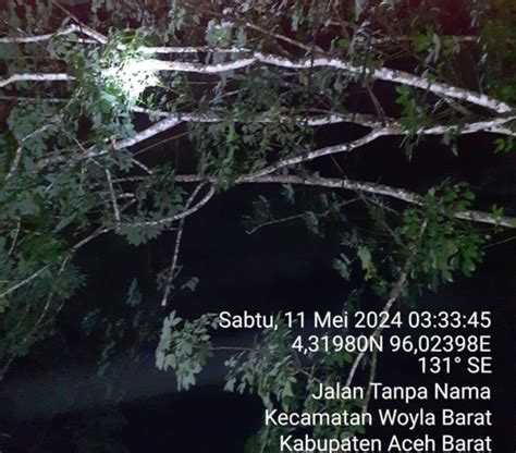 Sering Mati Lampu Di Wolya Timur Begini Penjelasan Pln Presentatif