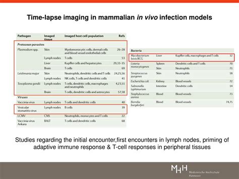 Ppt Dynamic Imaging Of Host Pathogen Interactions In Vivo Powerpoint