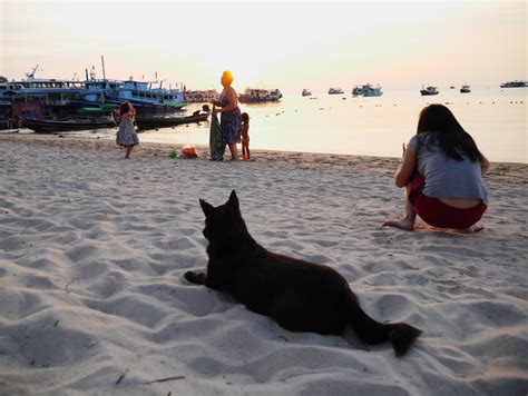 Apprendre la plongée à Koh Tao