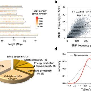 Genome Wide Distribution Of Snps And Indels Of Krice Core A Snp