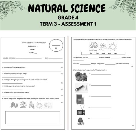 Natural Science And Technology Grade 4 Term 3 Assessment Test 2023