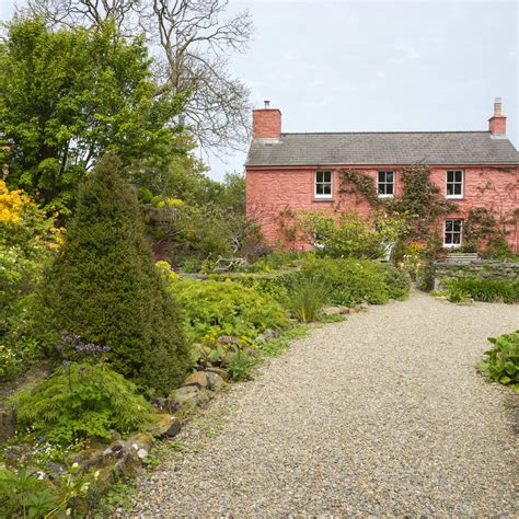 How to Grow and Care for San Marzano Tomato Plants - Dengarden