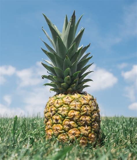 Pineapple Queen - Happyland Interanational Foods