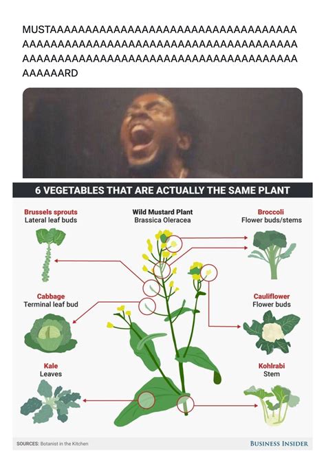 Wild Green Memes for Ecological Fiends | The Photosyndicate may not