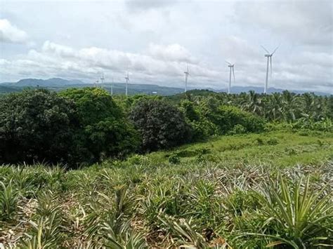 Hulugang Farm Lot Sa Pililla Rizal Malapit Sa Windmill Overlooking Vie