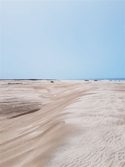 Por qué es un «crimen» ambiental lo que sucede en los médanos de