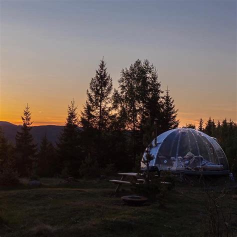 Northern lights - Norwegian Aurora glass igloo in Tromso region ...