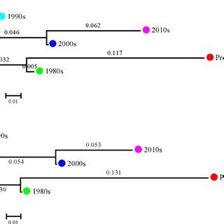 Neighbor Joining Clustering Tree Phylogenetic Based On Neis