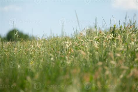 Photography with beautiful nature from Moldova in summer. Landscape in ...