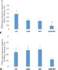 SciELO Brasil The Effect Of High Intensity Interval Training And L