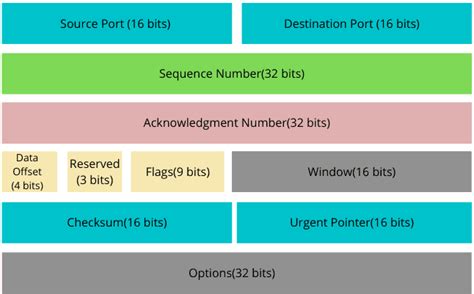 Popular Network Protocols Baeldung On Computer Science Eu Vietnam