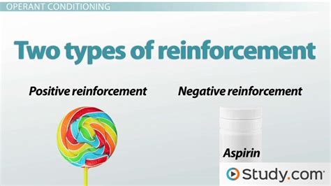 Classical Conditioning vs. Operant Conditioning: Differences and ...