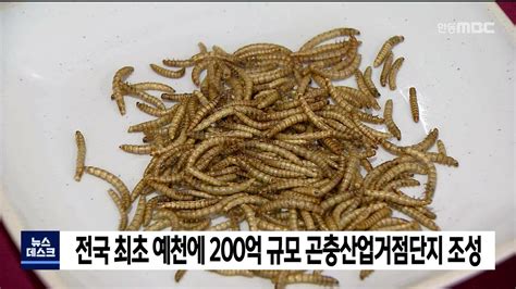 예천에 200억 규모 곤충산업거점단지 조성 안동mbc Youtube