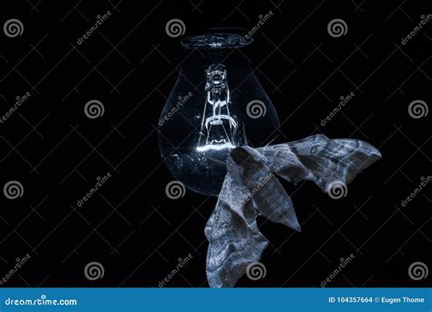 Moth on a lightbulb stock photo. Image of flying, fear - 104357664