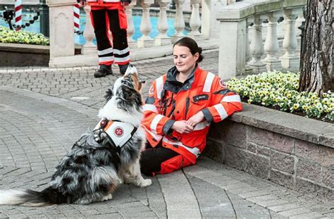 Spürnasen im Europa Park 70 Rettungshunde üben Leben retten