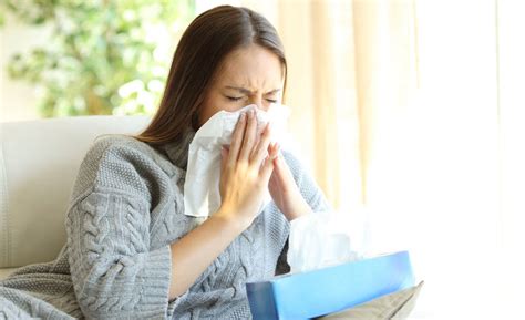 Ways To Defeat Seasonal Allergies Naturally Wildwood Lifestyle Center