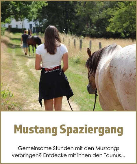 MustangMakeover