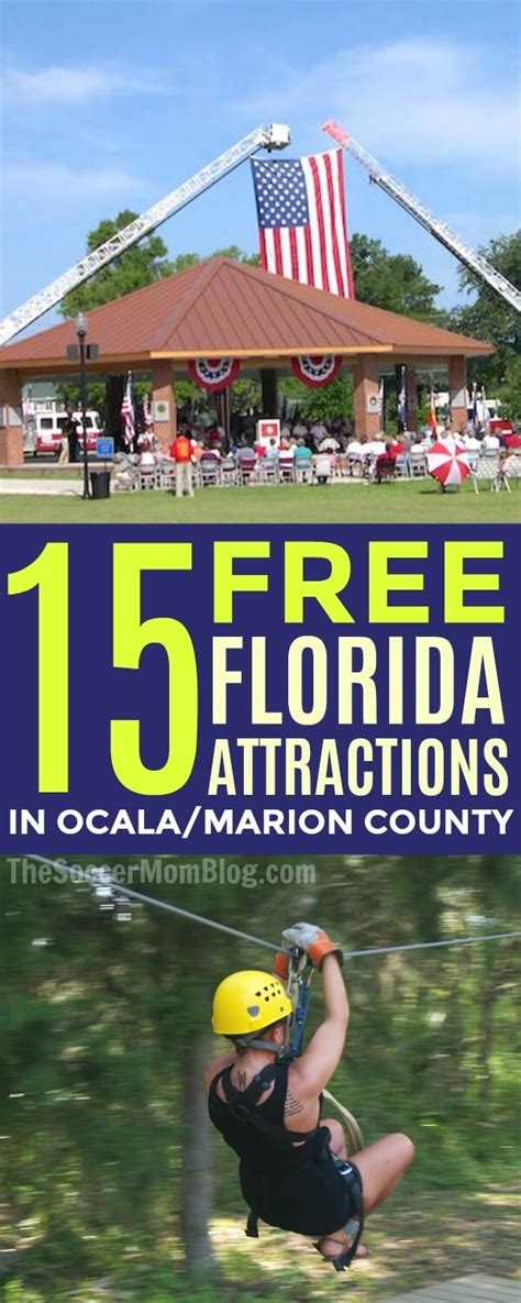 Things To Do In Ocala Fl All You Need Infos