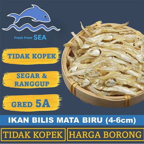 G G Harga Borong Belum Kopek Ikan Bilis Mata Biru Saiz M