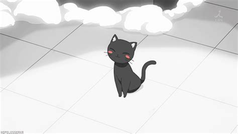 anime cat cute cat gif | WiffleGif