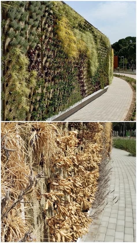 El jardín vertical con 6 600 plantas que Ayuso abrió en Chamberí antes