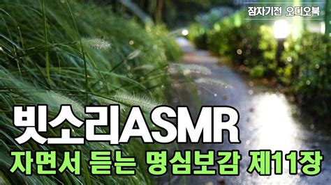 🌧️숙면을 위한 부드러운 빗소리asmr 백색소음잠자면서 듣는 명심보감 11장 Youtube