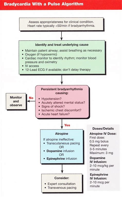 Acls Bradycardia With A Pulse Algorithm Nursing Mnemonics Cardiac