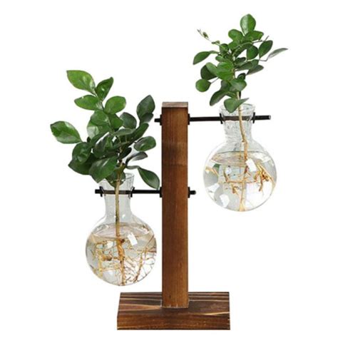 Plant Terrarium With Wooden Standair Planter Bulb Glass Vase Metal Swivel Holder Retro Tabletop