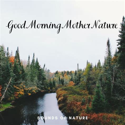 Sounds Of Nature Good Morning Mother Nature Album By Nature Hiker