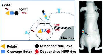 A Folate Receptor Specific Activatable Probe For Near Infrared