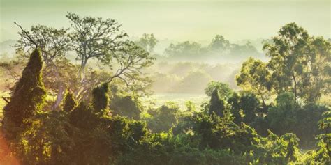 Clima de la región amazónica