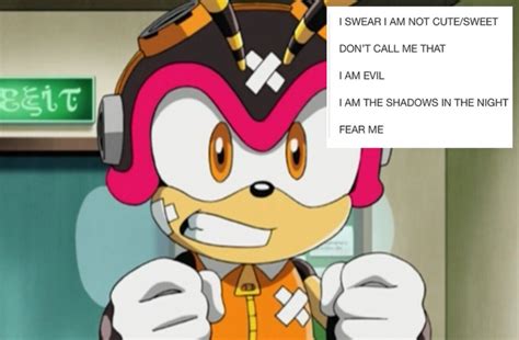 Sonic Textposts — Charmy + Text Posts [ 1 / ? ]