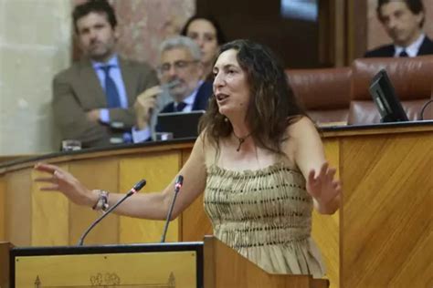 El Parlamento Andaluz Aprueba La Reforma De La Ley Andaluza De Atenci N