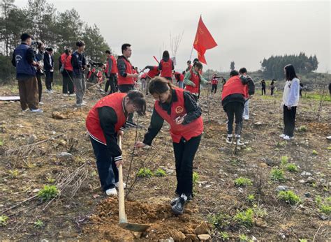 添新绿！今天，他们种下580余棵树苗腾讯新闻