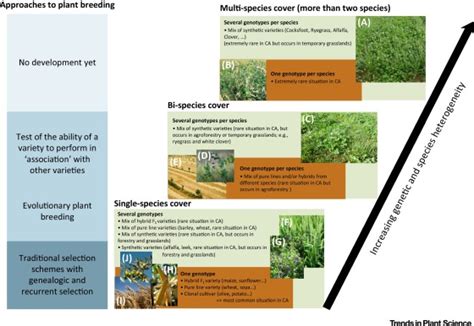 Diversity In Plant Breeding A New Conceptual Framework Trends In