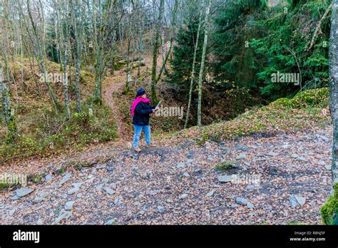 Ardennes forest map hi-res stock photography and images - Alamy